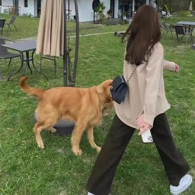 老爹在战斗