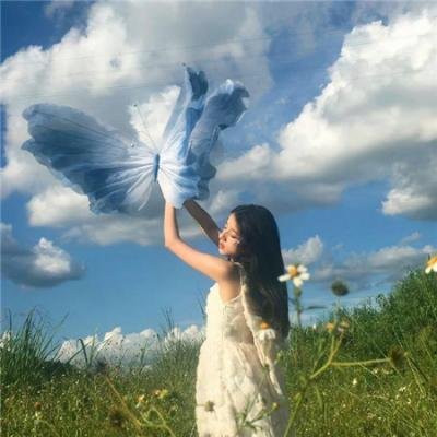 科搜研之女2022